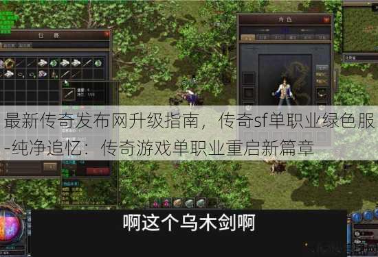 最新传奇发布网升级指南，传奇sf单职业绿色服-纯净追忆：传奇游戏单职业重启新篇章