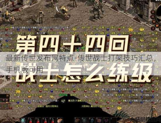 最新传世发布网特点-传世战士打架技巧汇总，手机版可用 第3张