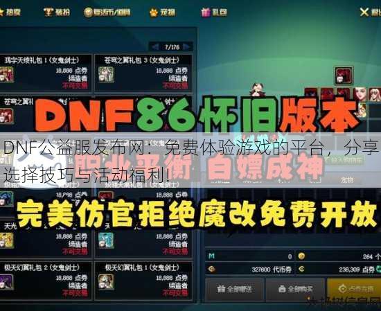 DNF公益服发布网：免费体验游戏的平台，分享选择技巧与活动福利!