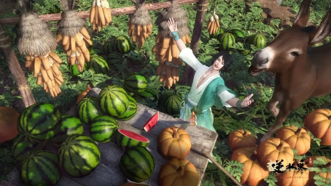 新手玩家选择传世私服的原因、进入游戏的步骤及角色培养指南!