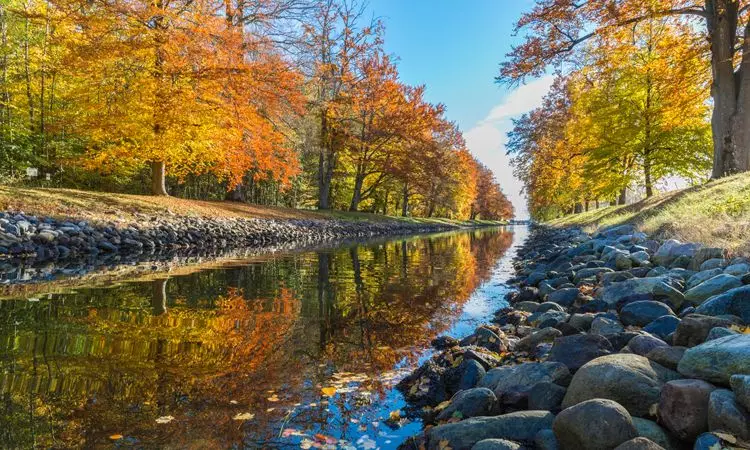 名扬天下专家预测的背后：科学性与主观性的评测对比! 第3张