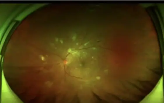 名扬天下专家预测的背后：科学性与主观性的评测对比! 第4张