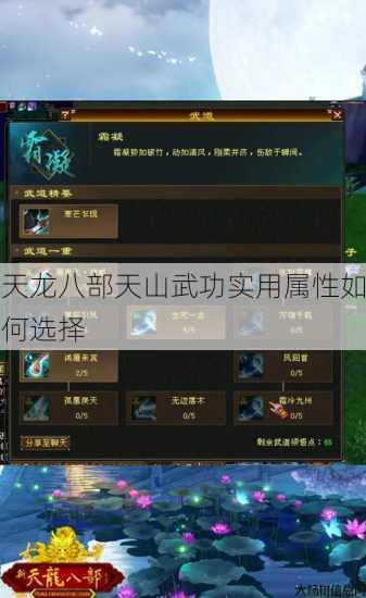 天龙八部天山武功实用属性如何选择 第1张 天龙八部天山武功实用属性如何选择 第1张