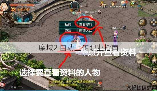 魔域2 自动上传职业指南 第1张