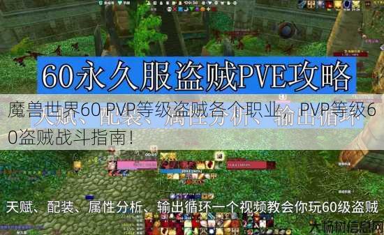 魔兽世界60 PVP等级盗贼各个职业，PVP等级60盗贼战斗指南！ 第1张