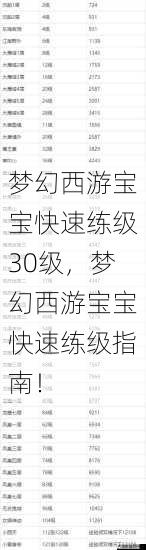 梦幻西游宝宝快速练级30级，梦幻西游宝宝快速练级指南！ 第1张