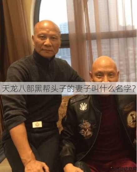 天龙八部黑帮头子的妻子叫什么名字？ 第1张