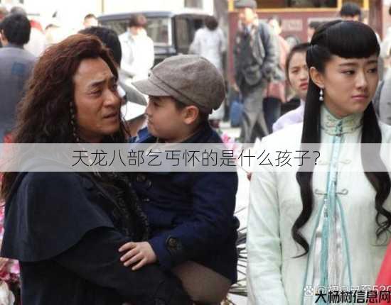 天龙八部乞丐怀的是什么孩子？ 第1张