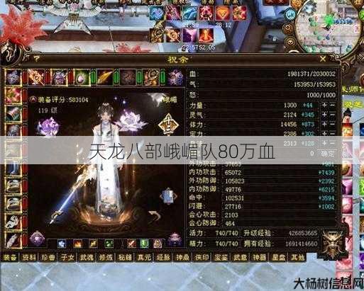 天龙八部峨嵋队80万血 第1张