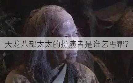 天龙八部太太的扮演者是谁乞丐帮？ 第1张