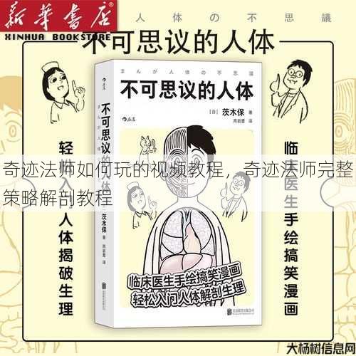 奇迹法师如何玩的视频教程，奇迹法师完整策略解剖教程 第1张