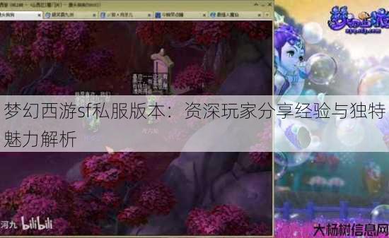 梦幻西游sf私服版本：资深玩家分享经验与独特魅力解析 第4张