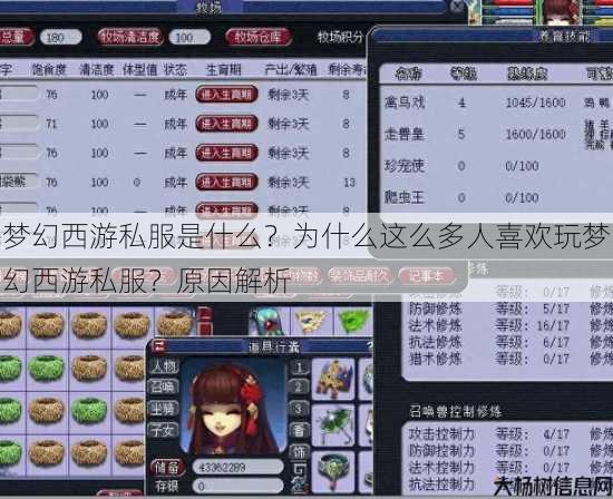 梦幻西游私服是什么？为什么这么多人喜欢玩梦幻西游私服？原因解析 第3张