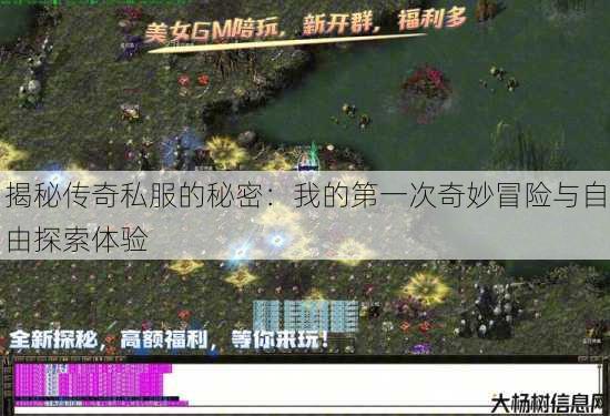 揭秘传奇私服的秘密:我的第一次奇妙冒险与自由探索体验 第2张 揭秘传奇私服的秘密:我的第一次奇妙冒险与自由探索体验 第2张