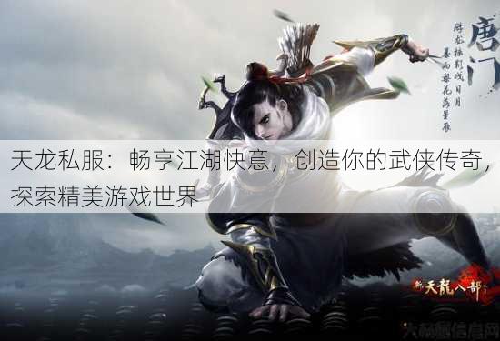 天龙私服：畅享江湖快意，创造你的武侠传奇，探索精美游戏世界 第1张
