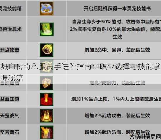 热血传奇私服高手进阶指南：职业选择与技能掌握秘籍