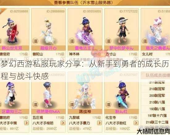 梦幻西游私服玩家分享：从新手到勇者的成长历程与战斗快感