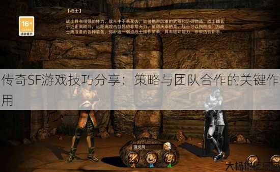 传奇SF游戏技巧分享：策略与团队合作的关键作用