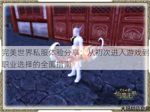 完美世界私服体验分享：从初次进入游戏到职业选择的全面指南 第4张