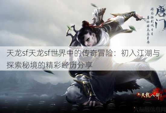 天龙sf天龙sf世界中的传奇冒险：初入江湖与探索秘境的精彩经历分享 第2张