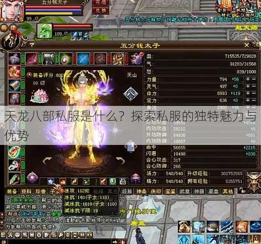 天龙八部公益私服是什么？探索私服的独特魅力与优势 第2张