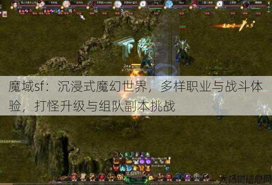 魔域sf：沉浸式魔幻世界，多样职业与战斗体验，打怪升级与组队副本挑战 第2张