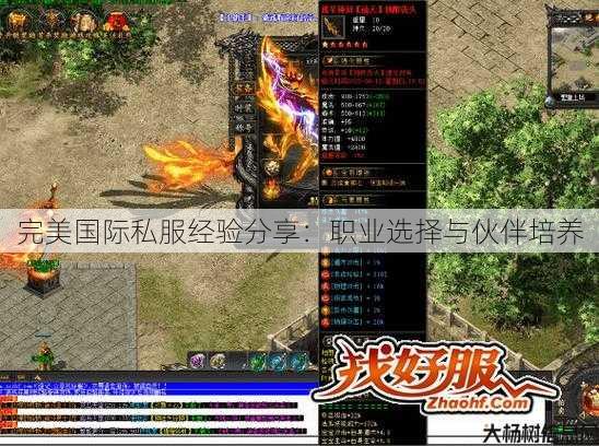 完美国际私服经验分享：职业选择与伙伴培养 第3张