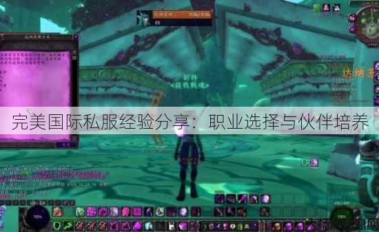 完美国际私服经验分享：职业选择与伙伴培养 第1张