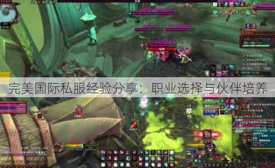 完美国际私服经验分享：职业选择与伙伴培养 第2张