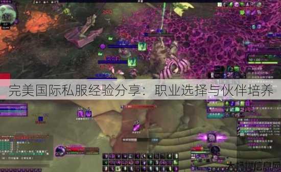 完美国际私服经验分享：职业选择与伙伴培养 第4张