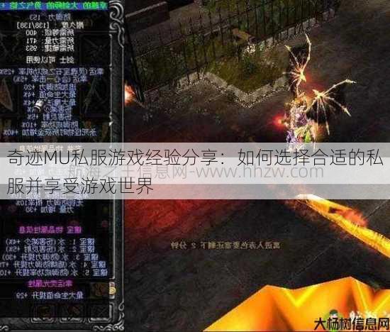 奇迹MU私服游戏经验分享：如何选择合适的私服并享受游戏世界 第3张