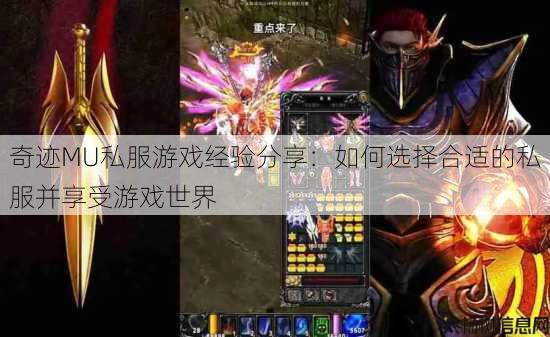 奇迹MU私服游戏经验分享：如何选择合适的私服并享受游戏世界 第4张