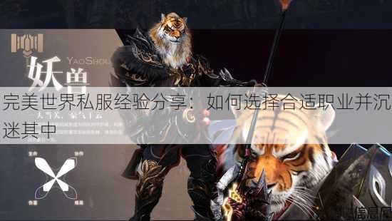 完美世界私服经验分享:如何选择合适职业并沉迷其中 第4张 完美世界私服经验分享:如何选择合适职业并沉迷其中 第4张