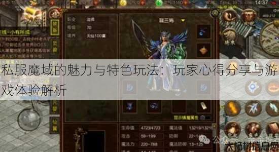 私服魔域的魅力与特色玩法：玩家心得分享与游戏体验解析 第3张