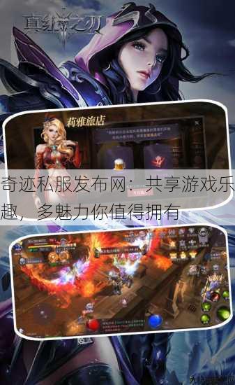 奇迹私服发布网：共享游戏乐趣，多魅力你值得拥有 第4张