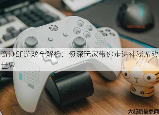 奇迹SF游戏全解析：资深玩家带你走进神秘游戏世界