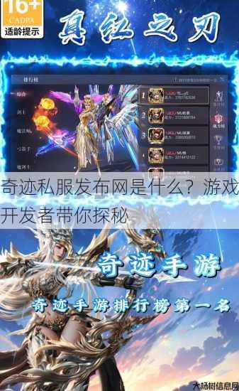 奇迹私服发布网是什么？游戏开发者带你探秘 第4张