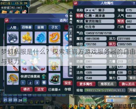 梦幻私服是什么？探索非官方游戏服务器的自由与魅力