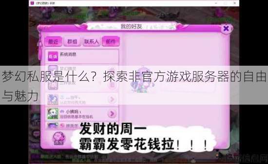 梦幻私服是什么？探索非官方游戏服务器的自由与魅力 第4张