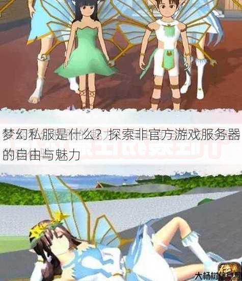 梦幻私服是什么？探索非官方游戏服务器的自由与魅力
