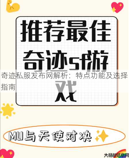 奇迹私服发布网解析：特点功能及选择指南 第3张
