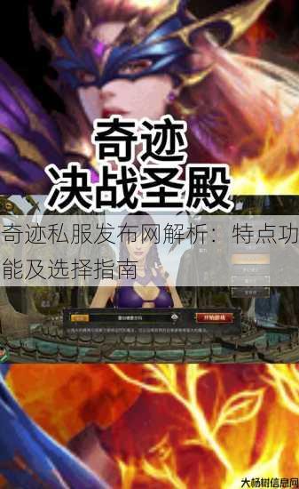奇迹私服发布网解析：特点功能及选择指南 第4张