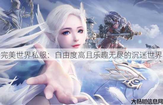 完美世界私服：自由度高且乐趣无尽的沉迷世界