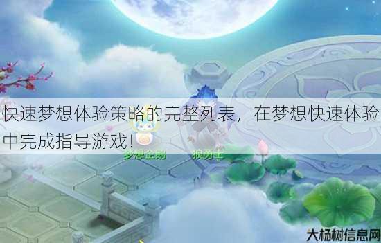 快速梦想体验策略的完整列表，在梦想快速体验中完成指导游戏！ 第4张
