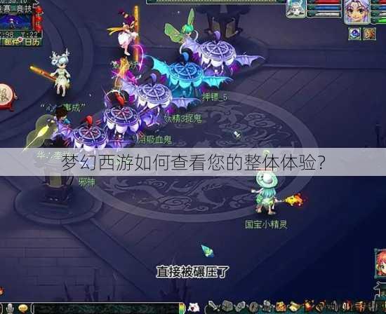 梦幻西游如何查看您的整体体验? 第2张 梦幻西游如何查看您的整体体验? 第2张
