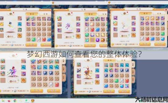 梦幻西游如何查看您的整体体验? 第3张 梦幻西游如何查看您的整体体验? 第3张
