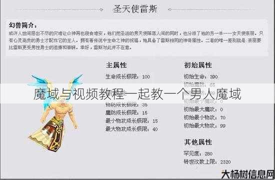 魔域与视频教程一起教一个男人魔域 第2张