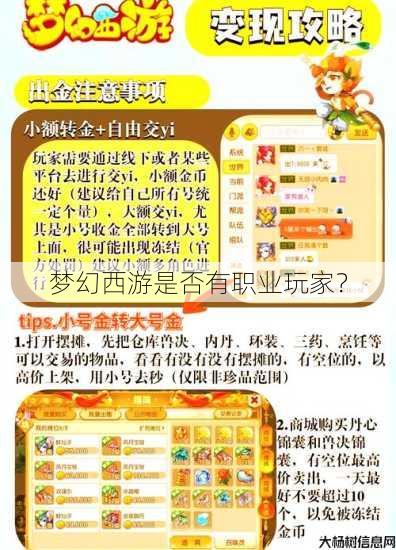 梦幻西游是否有职业玩家？ 第1张