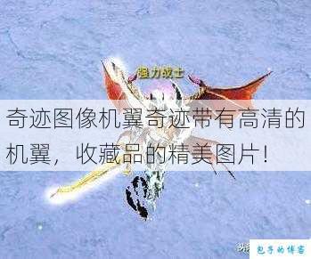 奇迹图像机翼奇迹带有高清的机翼，收藏品的精美图片！ 第1张