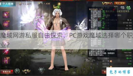 魔域网游私服自由探索，PC游戏魔域选择哪个职业？ 第1张
